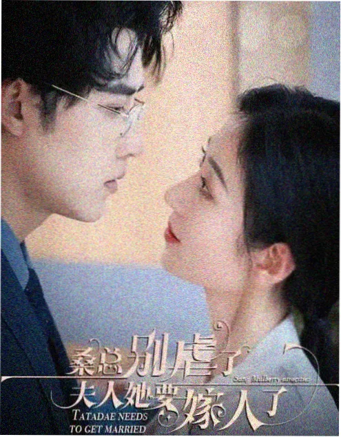 小巷人家 最新剧集海报